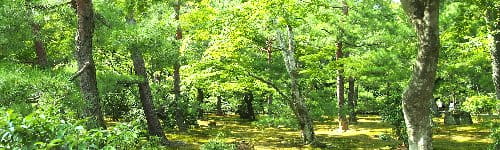 管理職研修～女性活躍の環境づくり編（２日間）