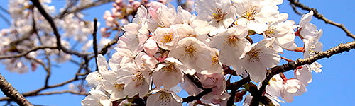 【公開講座】新任管理職研修~自信を持ってマネジメントを始める編(2日間)