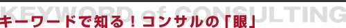 キーワードで知る！コンサルの「眼」