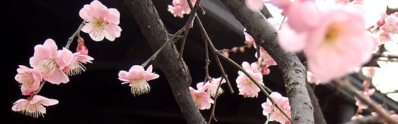 内定者研修～ビジネスパーソンとしての心構え編（１日間）