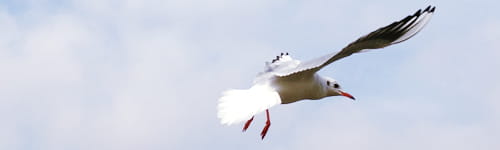 新人フォロー研修　「２年目」のプレッシャーを乗り越える編（１日間）