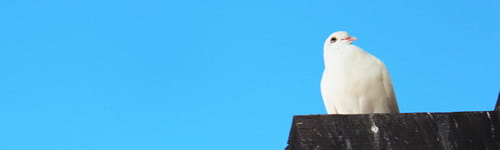 新人フォロー研修　～今後の活躍のための課題解決編（３日間）