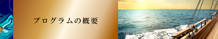 プログラムの概要