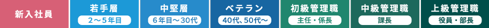 右から新入社員、若手層、中堅層、ベテラン、初級管理職、中級管理職、上級管理職