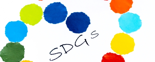 【オンライン講座】SDGsをビジネス戦略に組み込む方法　実践講座