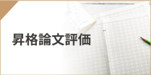 昇格論文評価