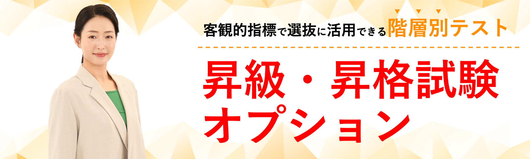 昇級・昇格試験オプション