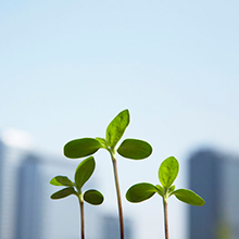 ストレスに負けないレジリエンスの鍛え方！～就職氷河期世代ライターの経験より