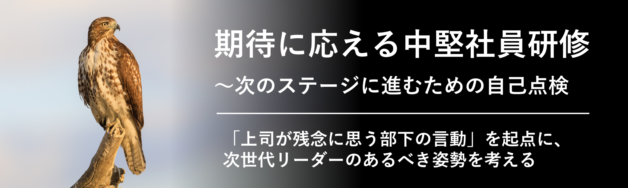 期待に応える中堅社員研修～次のステージに進むための自己点検