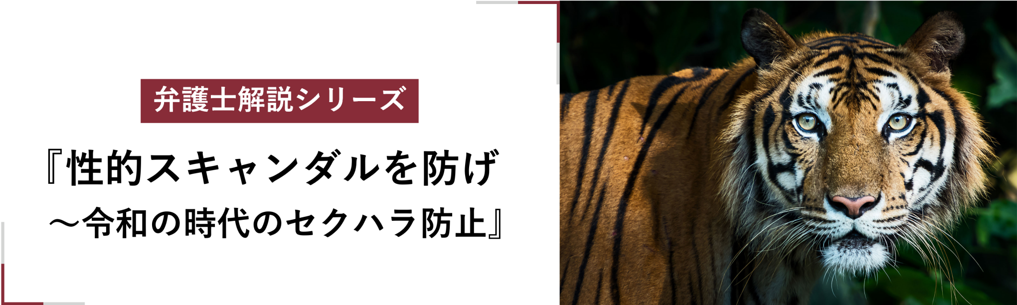 【弁護士解説シリーズ】性的スキャンダルを防げ～令和の時代のセクハラ防止