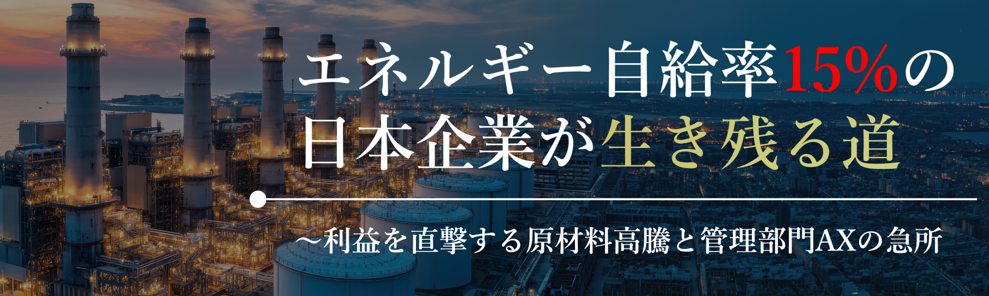 エネルギー自給率15%の日本企業が生き残る道～利益を直撃する原材料高騰と管理部門ＡＸの急所