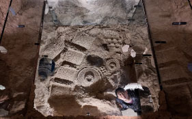 DAUB!〜市原屋の巣〜