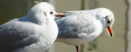 クレーム電話対応研修～見えない相手との対応テクニックを学ぶ