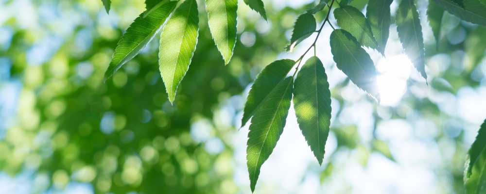 ネガティブ思考リフレーミング講座～ストレスに振り回されない心をつくる