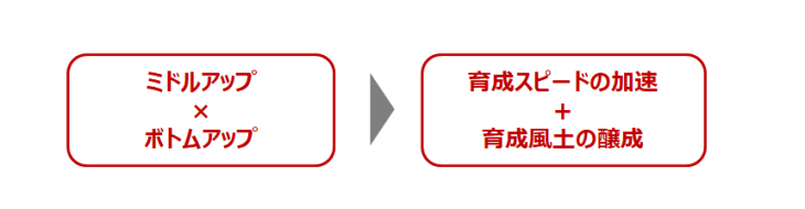 ミドルアップとボトムアップが育成につながる