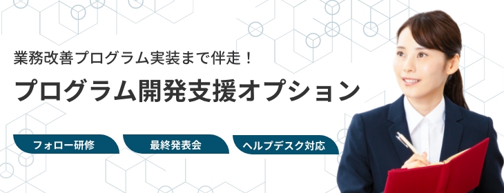 業務改善プログラム実装まで伴走！プログラム開発支援オプション