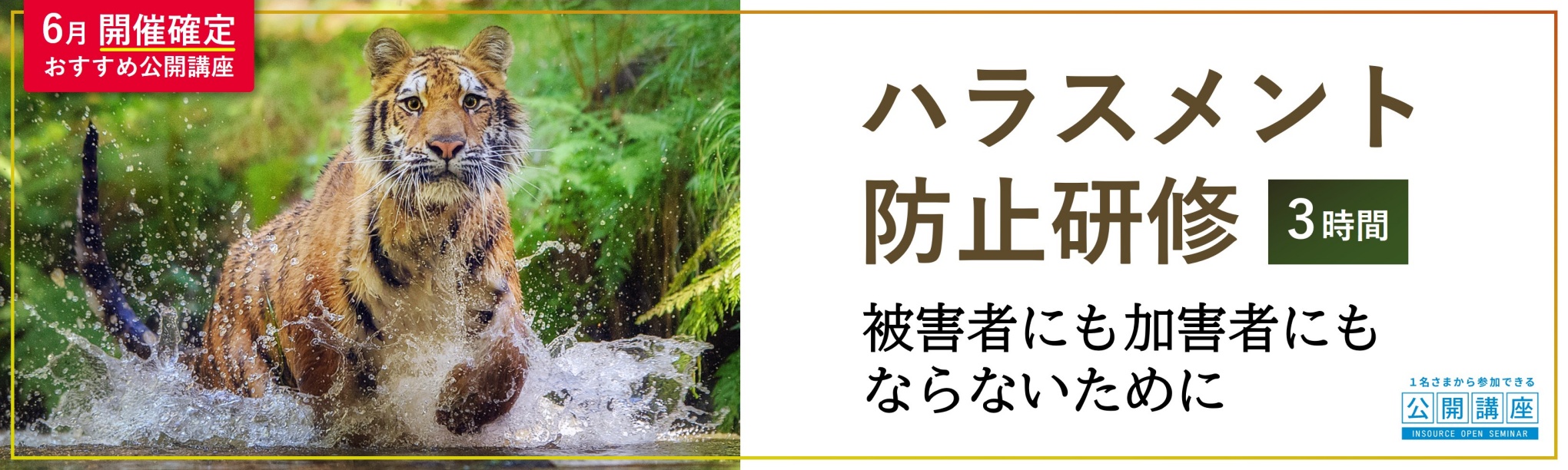 ６月おすすめ研修_ハラスメント防止