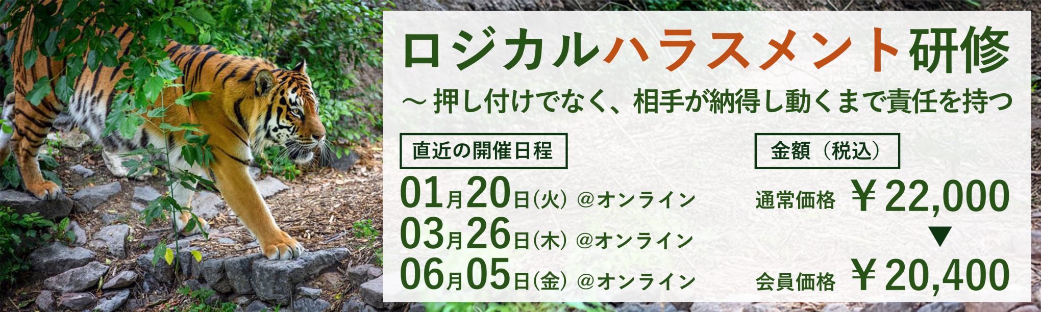 (半日研修)ロジカルハラスメント防止研修~押し付けでなく、相手が納得し動くまで責任を持つ